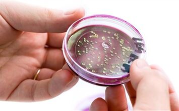 Baktérie v sekrécii prostaty